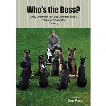 Who's the Boss?