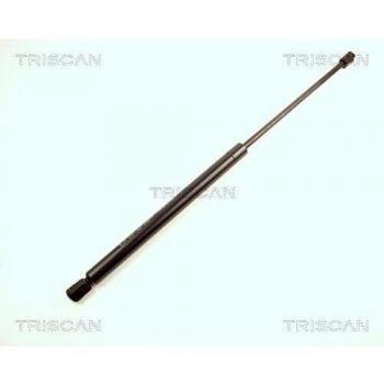 Triscan Gasfeder für Kofferraum 8710 16221