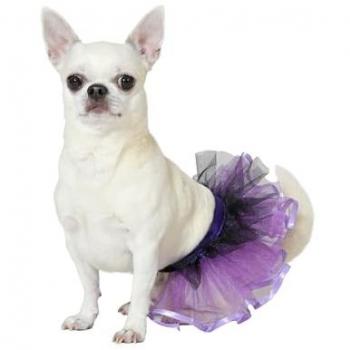 Disfraz de Tutú Morado para Perro