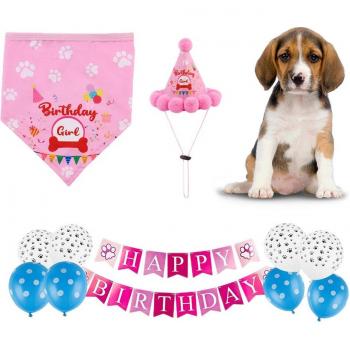 Ensemble d'écharpe Bandana pour chien avec chapeau mignon