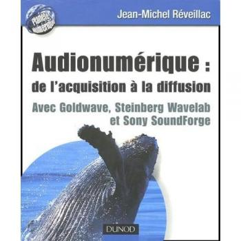 Jean-Michel Réveillac Audionumérique : De L'Acquisition À La Diffusion: Avec Goldware, Steinberg Wavelab Et Sony Soundforge