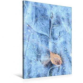 CALVENDO Textil Leinwand 60 × 90 cm Hochformat – Naturmuster (Stein, Eis, Pflanze)