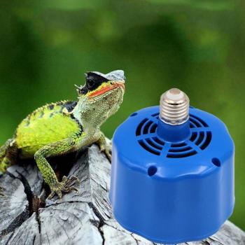 Poultry Warmth Light