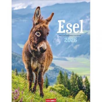 Esel Kalender 2026