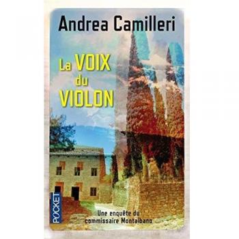 La voix du violon