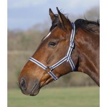 Shires Wessex Horse Headcollar in Navy/Silver