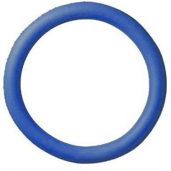Diving Ring BECO