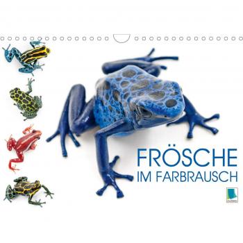 Frösche im Farbrausch