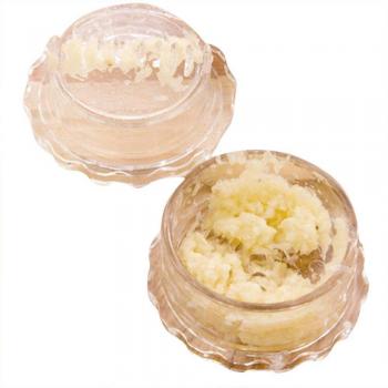 Manual Garlic and Vegetable Cutter