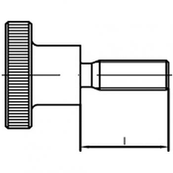 Mètre de vis à tête haute DIN 464, 30 mm de long