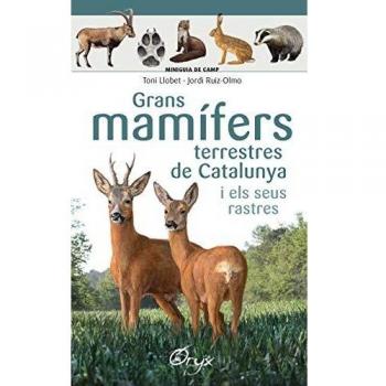 GRANS MAMÍFERS TERRESTRES DE CATALUNYA I ELS SEUS RASTRES