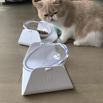 Incline Pet Food and Water Dish