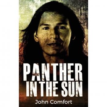 Panther in the sun paperback