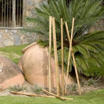 Tutor decorativo de bambú 2,9 m con diámetro 75‑85 mm
