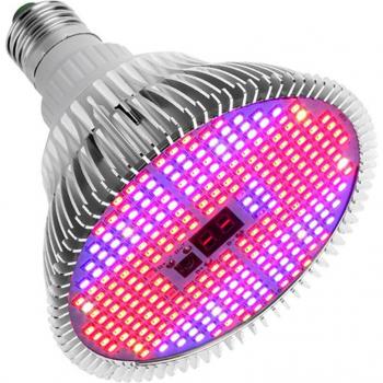 Luz SuccoControl