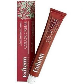 Exitenn Colour Creme 91 Louro Muito Claro Acinzentado 60ml