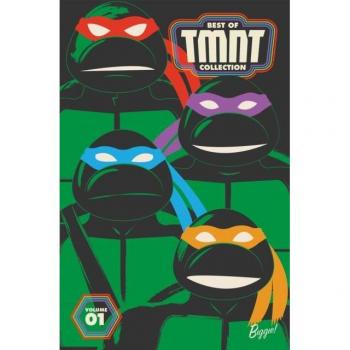 Best of Teenage Mutant Ninja Turtles Collection Vol. 1 by Peter Laird