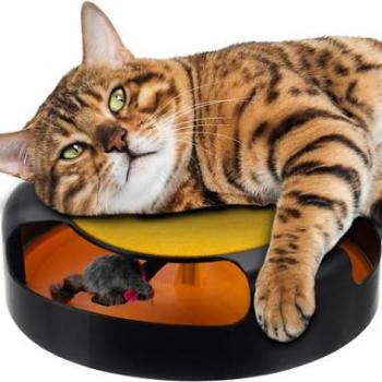 Redfink Katzenspielrad – Mausrad‑Kratzbaum für Katze
