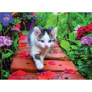 Puzzle Petit Chat Nathan