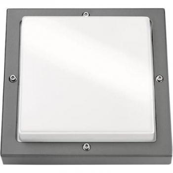 SG Basso Wandleuchte 19W 1250lm 3000K grafit