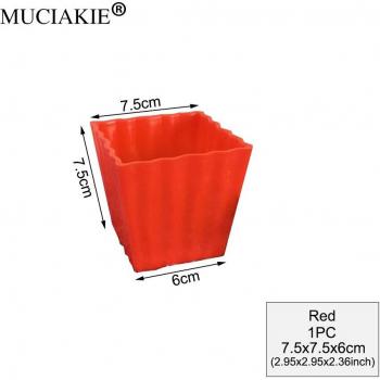 MuciaKí MiniPlástico