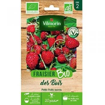 Graines de Fraisier Bio Vilmorin pour un jardin éco-responsable