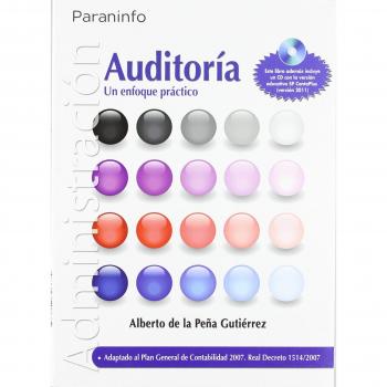 Auditoria. Un enfoque práctico