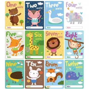 First Birthday Memory Cards – 12‑Pack, Capture the Year D5QA