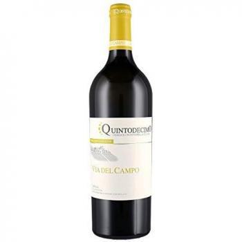 Quintodecimo Via del Campo Irpinia Falanghina DOC 2020 Cl 75