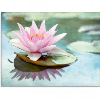 Artland Glasbild »Rosa Seerose«, florale Kunst, (1 St.), in verschiedenen Größen