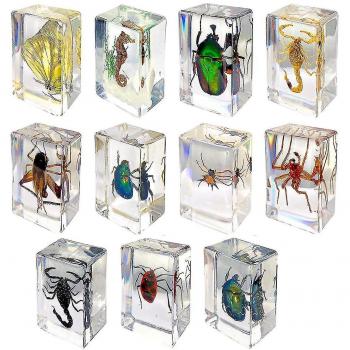 Juego de Insectos de Resina con Peso de Papel