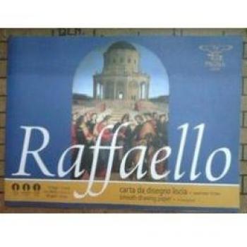 ALBUM RAFFAELLO 24x33 punto metallico 5 MM