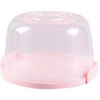 Caja Ahorro y Sabor: Pastel en Plástico