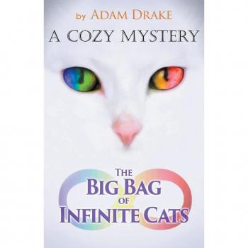 The Big Bag of Infinite Cats