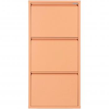 Billy Shoe Storage Cabinet for 6 Pairs