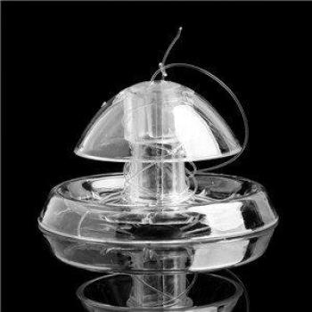 Clear Snail Trap for Fish Tank