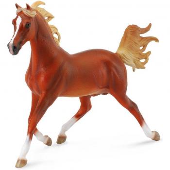 Collezione Di Stalloni Arabi Colore Castano