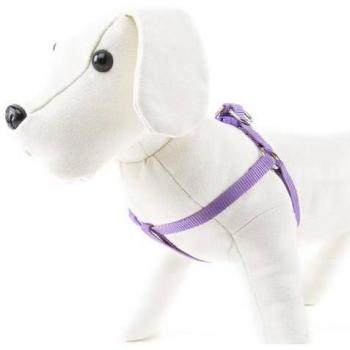 Harnais Nayeco pour chien Basic Violet S