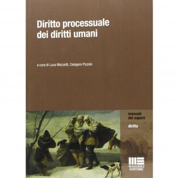 Diritto processuale dei diritti umani