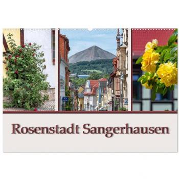 Rosenstadt Sangerhausen (Wandkalender 2025 DIN A2 quer) CALVENDO Monatskalender