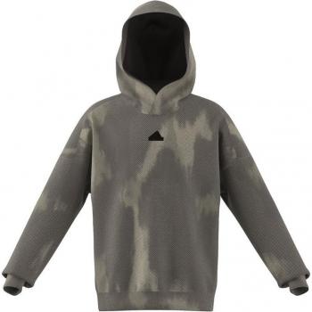 Adidas AOP Sudadera Con Capucha Chicos - Caqui, Gris