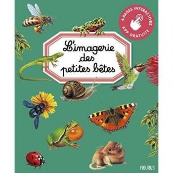 L'imagerie des petites bêtes