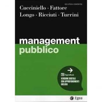 Management pubblico