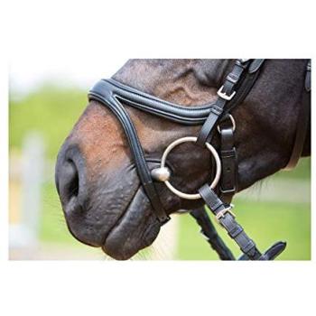 Kieffer Trensenzaum Ultrasoft Tara, Braun Warmblut – Natur-Feuchtehilfe