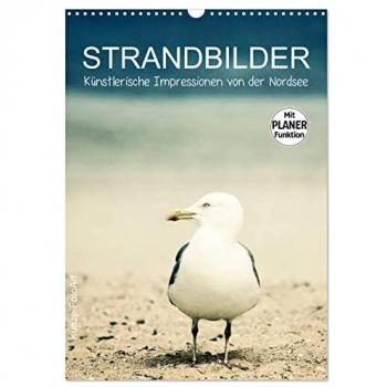 Strandbilder - Künstlerische Impressionen von der Nordsee (Wandkalender 2025 DIN A3 hoch) CALVENDO Monatskalender