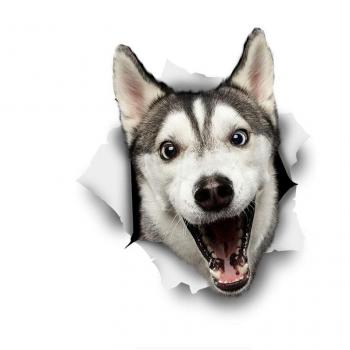 Kawaii Doggie Decor Stickers