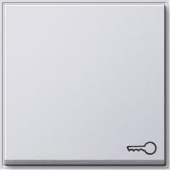 Gira 028766 White Cover Plate for Push Button