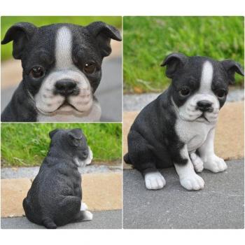 Dekofigur Boston Terrier für den Garten