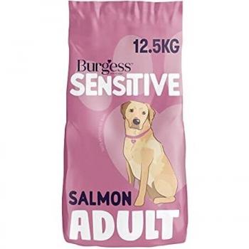 Sensitive Adult Salmon and Rice Dog Food, 12.5 kg