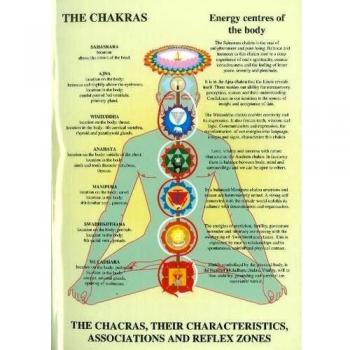 Chakras: Their Characteristics, Associations and Reflexzones: Their Characteristics, Associations & Reflexzones